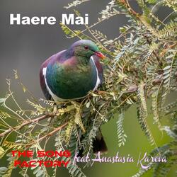 Haere Mai (feat. Anastasia Kareva)