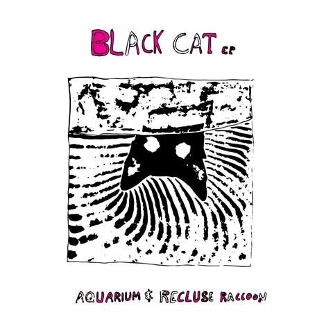 Black Cat