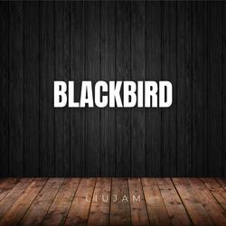 BlackBird