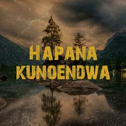 Hapana Kunoendwa (feat. Saul Jah love)