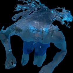 ENIGMA