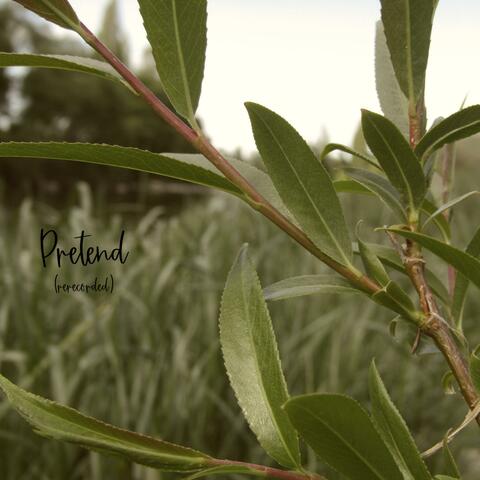Pretend (rerecorded)