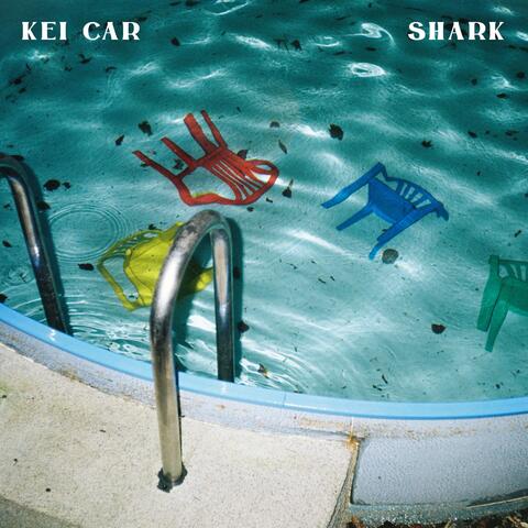 Shark