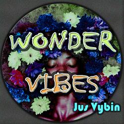 Wonder Vibes