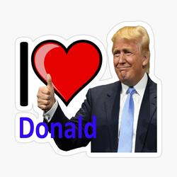 Vote Donald 2024 At Your Door