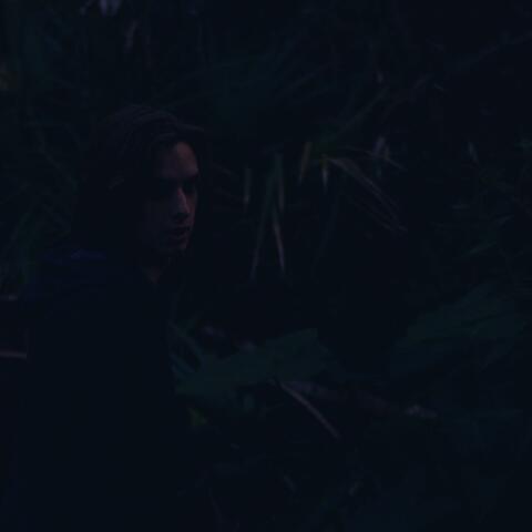 FallingLastNight. (Moonstruck)