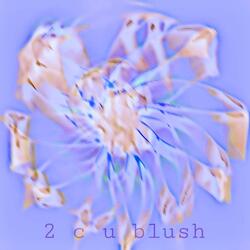 2cu blush (feat. logan.jpg)