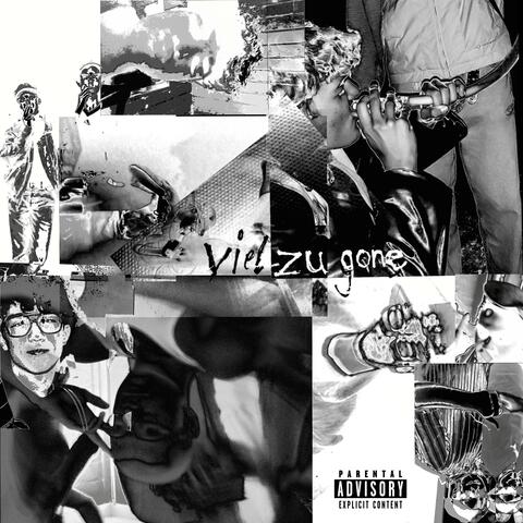 viel zu gone (feat. Leland King)