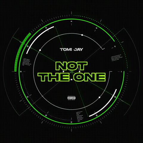 Not The One