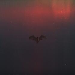 Nightfall