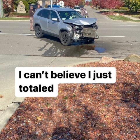 HIT MY WHIP N MADE A HIT