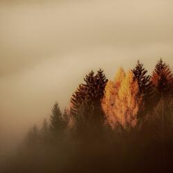 A season tinged with sorrow