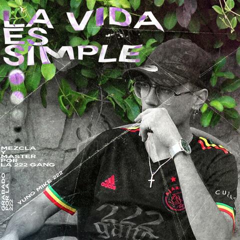 La Vida es Simple