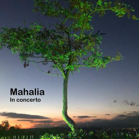 In concerto