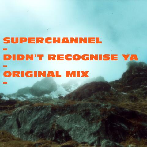 Didn't Recognise Ya (Original Mix)