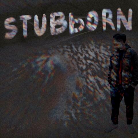 Stubborn