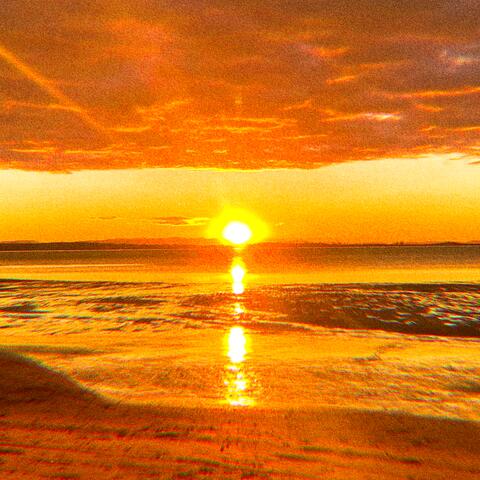 Staring At The Sun