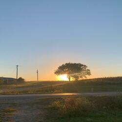 What Are We (feat. fats'e)