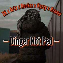Dinger Not Ped (feat. ZK, Artz, Reekzz & Kyzzy)