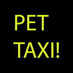 Pet Taxi!