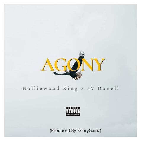 Agony (feat. sV Donell)