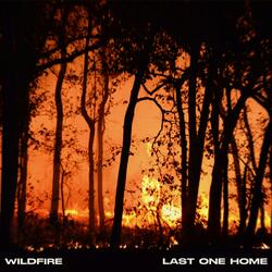 Wildfire