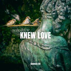 Knew Love