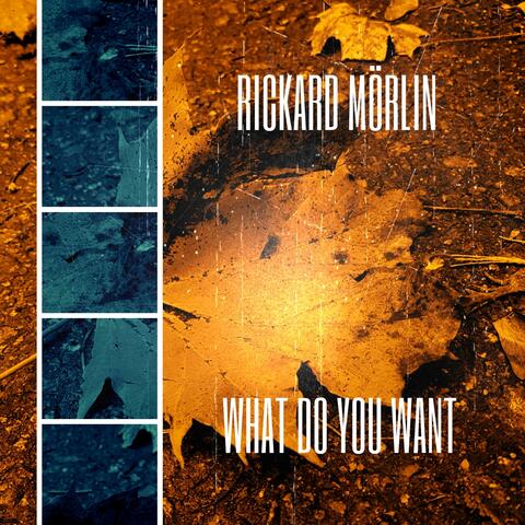 What Do You Want (feat. Petter Åkerblom & Hanne Mörlin)