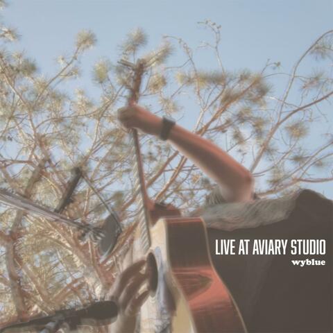 Live at Aviary Studio