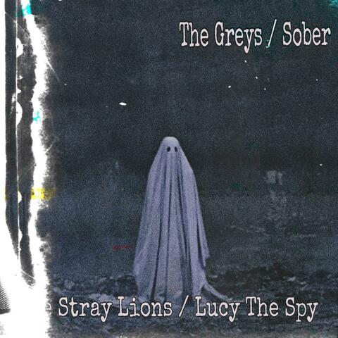 The Greys (feat. Sullivan Smith & Stray Lions)