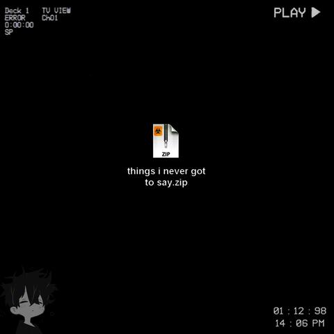 things i never got to say