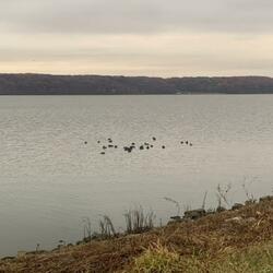 Vivid Dreams (feat. Hoepless)