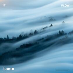 Flow