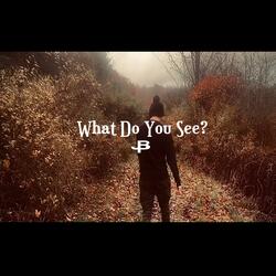 What Do You See?