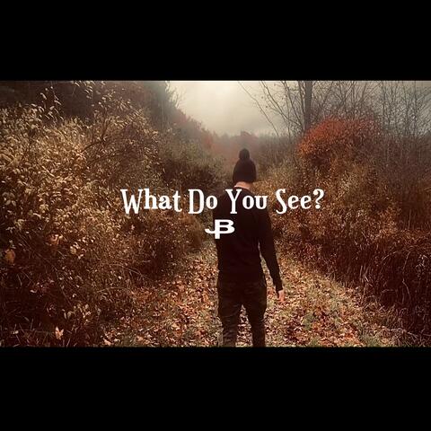 What Do You See?