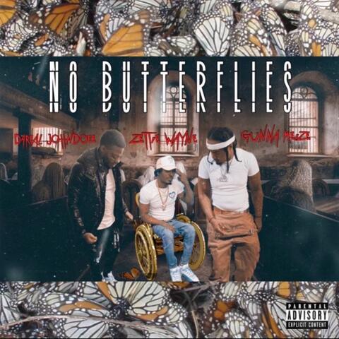 No Butterflies (feat. Zettie Wayne & JohnDoe)