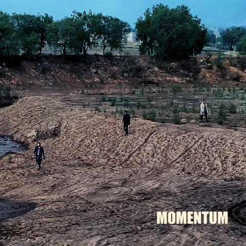 Momentum