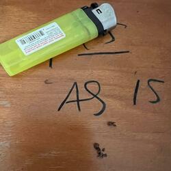 wastin time (freestyle)