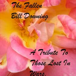 The Fallen (A Tribute to those lost in War)