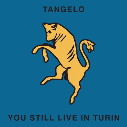 You Still Live In Turin