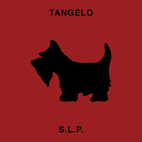 S.L.P