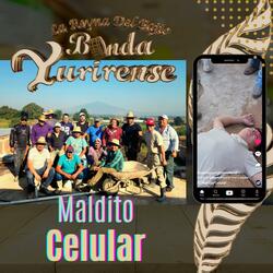 Maldito Celular
