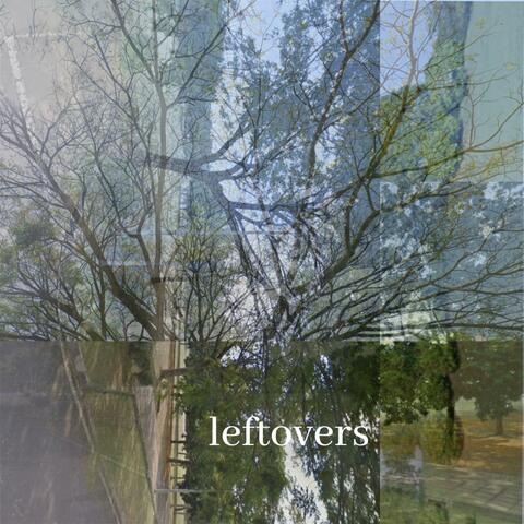 leftovers