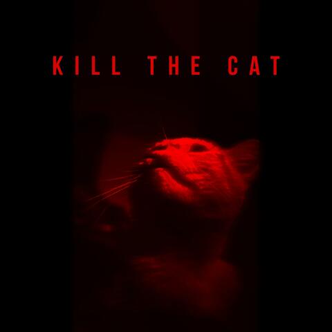 Kill The Cat
