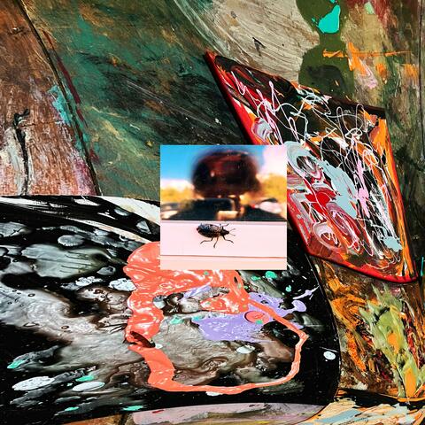 more ok than i've ever been