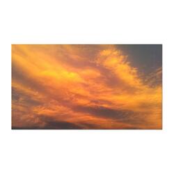 Don't Go to the Zoo on Acid