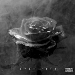Over Rose