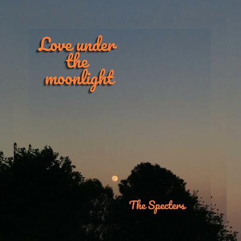 Love Under The Moonlight