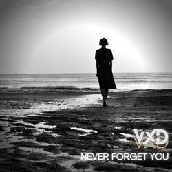Never Forget You
