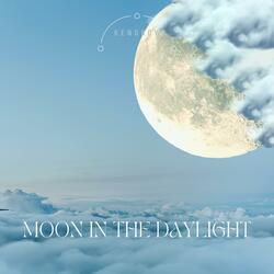 Moon in the Daylight
